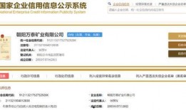 辽宁朝阳新闻爆料人,揭秘人生百态，聚焦社会热点