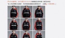 占迪爆料原视频,事件真相与幕后故事